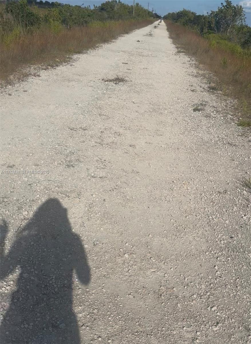 Unincorporated Unincorporated Homestead, FL 33035 - Photo 10 of 23