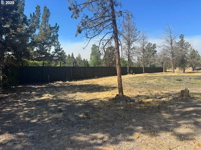 a view of a yard with a tree