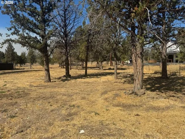 a view of empty space with trees
