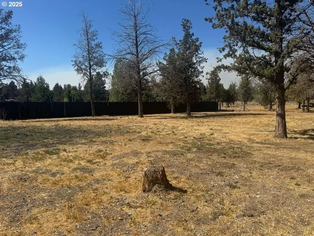 a house with trees in front of it