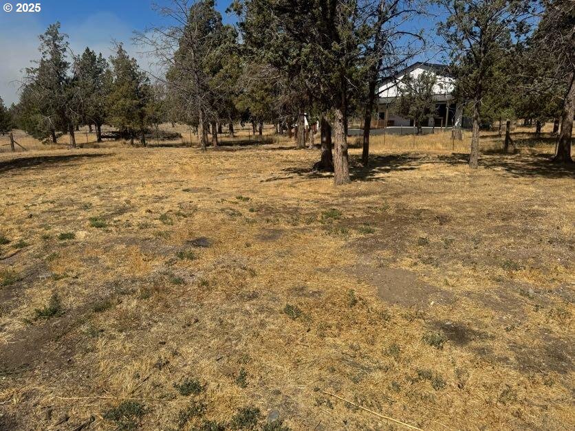 12292 Southwest Lords Place Terrebonne, OR 97760 - Photo 7 of 20 a view of a yard with a trees