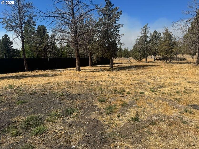 12292 Southwest Lords Place Terrebonne, OR 97760 - Photo 8 of 20 a view of yard with trees