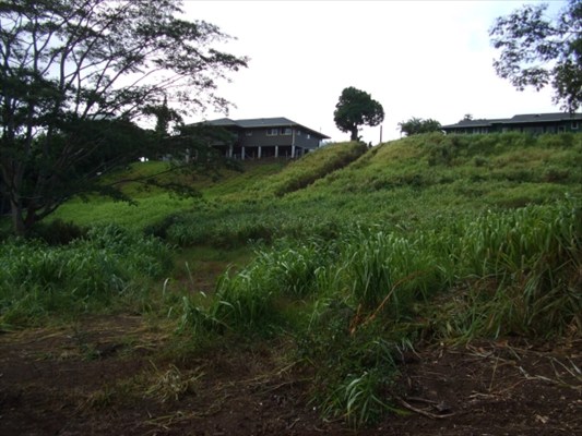 48 A Omao Road Koloa, HI 96756 - Photo 4 of 8 Gallery Image 4
