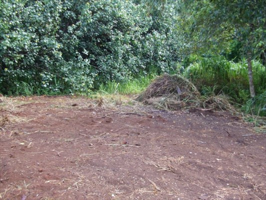 48 A Omao Road Koloa, HI 96756 - Photo 7 of 8 Gallery Image 7
