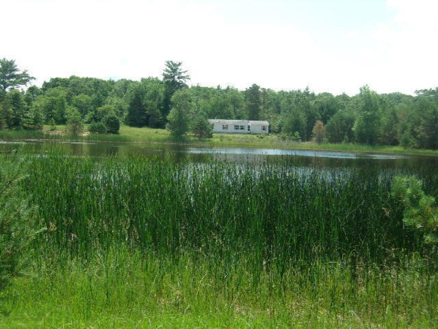 2784 North High Bridge Road Brethren, MI 49619 - Photo 4 of 18 001