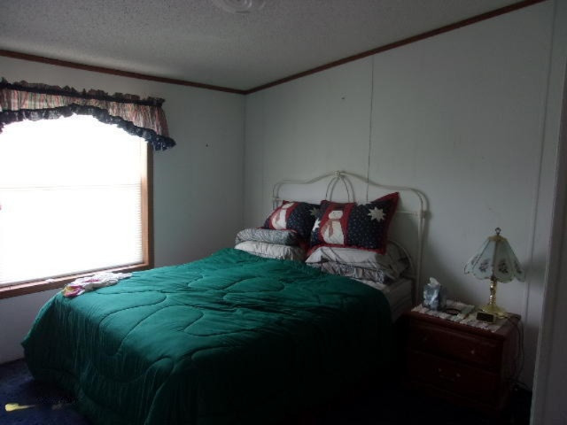 2784 North High Bridge Road Brethren, MI 49619 - Photo 7 of 18 005
