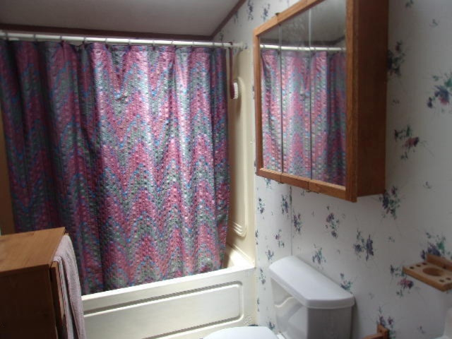 2784 North High Bridge Road Brethren, MI 49619 - Photo 8 of 18 006