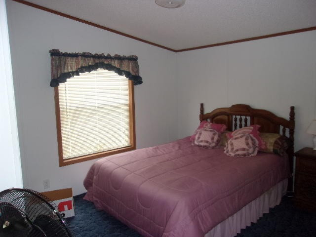 2784 North High Bridge Road Brethren, MI 49619 - Photo 9 of 18 007