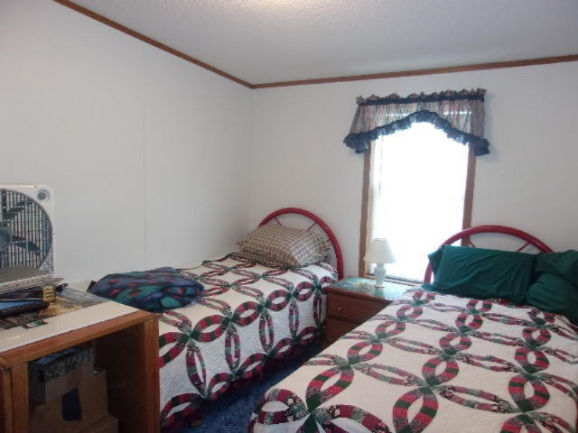 2784 North High Bridge Road Brethren, MI 49619 - Photo 10 of 18 008