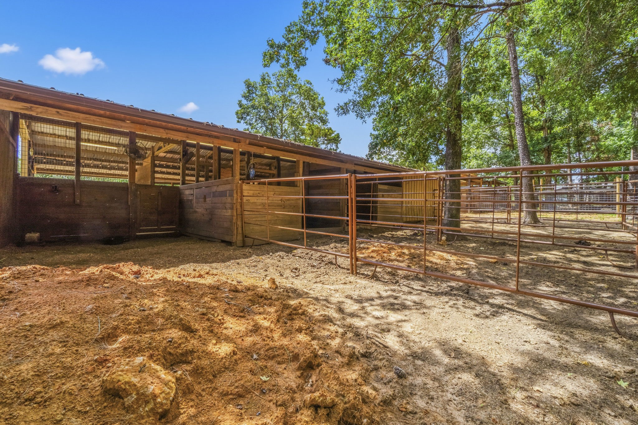 1239 Tony Peebles Road Livingston, TX 77351 - Photo 46 of 50 Gallery Image 46