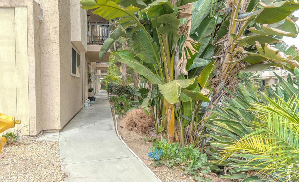 9860 Dale Avenue, Unit D10 Spring Valley, CA 91977 - Photo 53 of 55 a view of a pathway in a yard