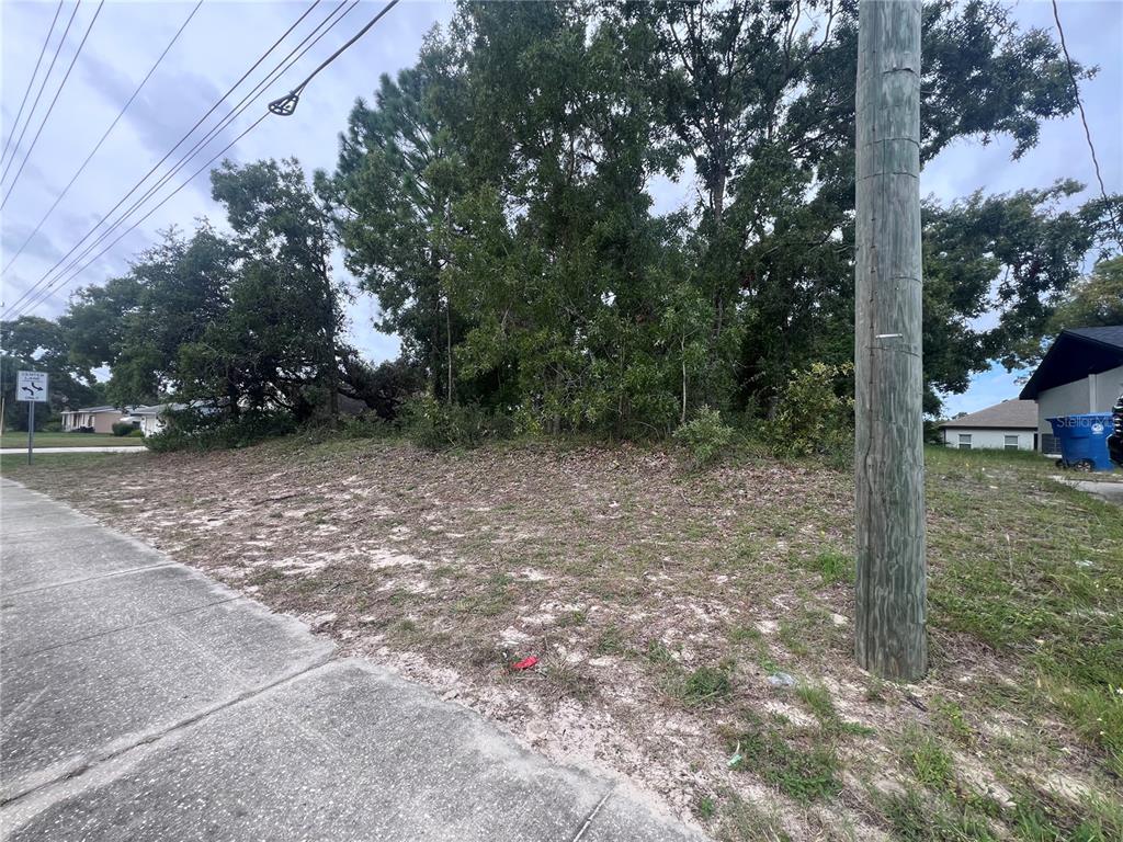 2469 Mariner Boulevard Spring Hill, FL 34608 - Photo 1 of 1 a view of a yard with a tree
