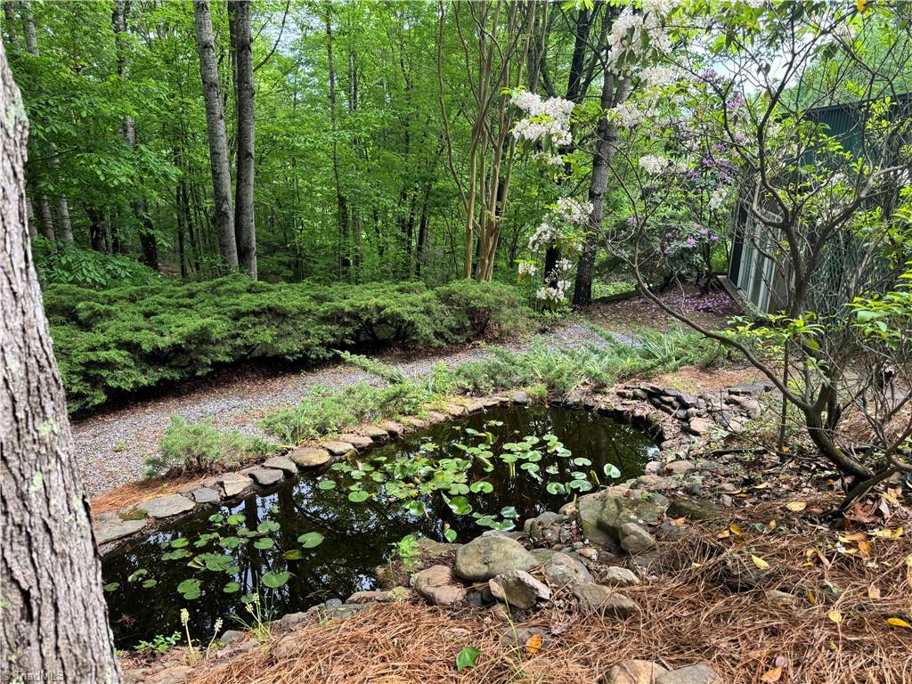 545 Overland Trail Hays, NC 28635 - Photo 4 of 30