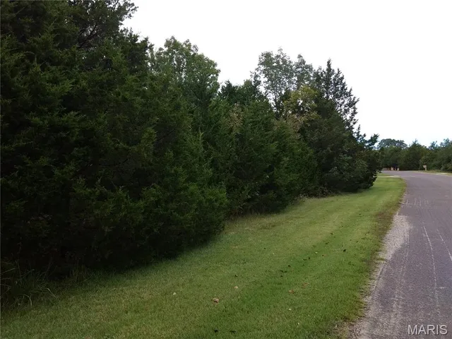 $7,500 | 0 Rue Riviera Lots 10 & 11, Bonne Terre, MO 63628