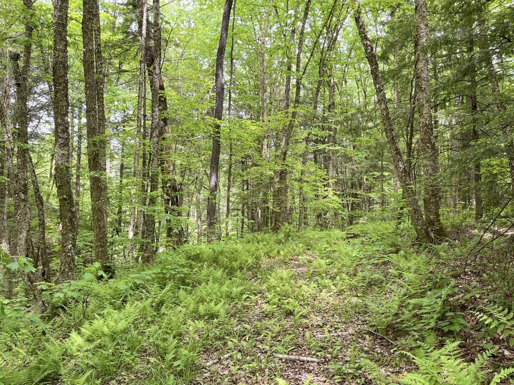 0 East River Road Johnson, VT 05656 - Photo 5 of 16