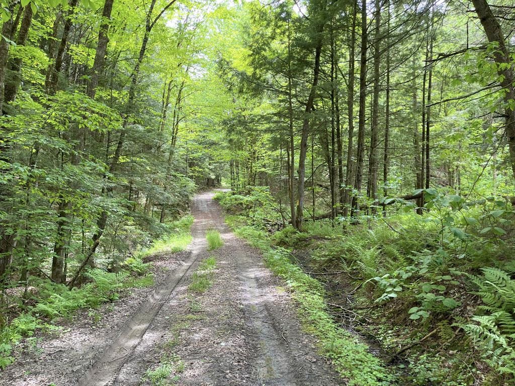 0 East River Road Johnson, VT 05656 - Photo 8 of 16