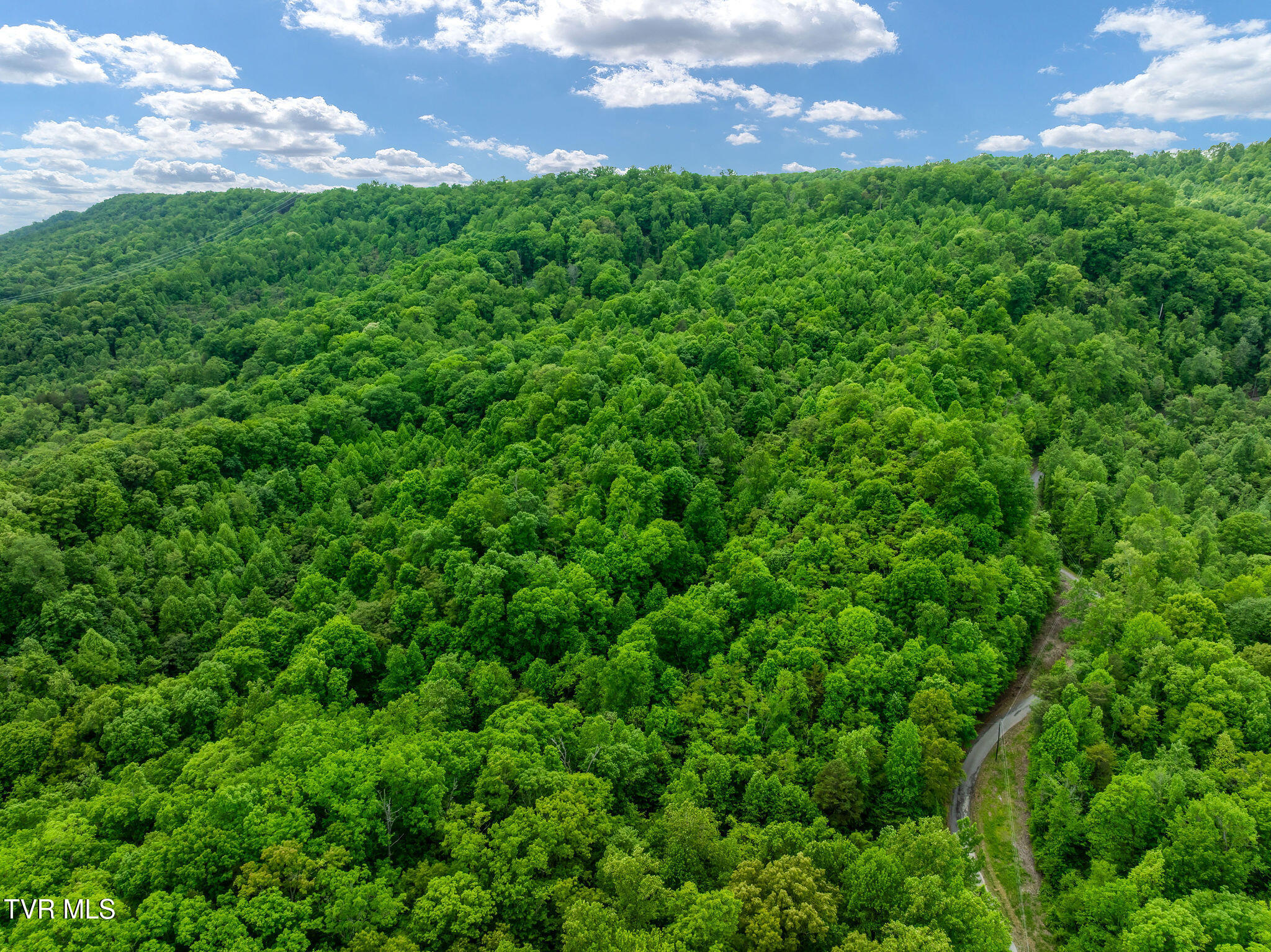 Tbd Wattenbarger Gap Road Greeneville, TN 37745 - Photo 9 of 41 DJI_0990