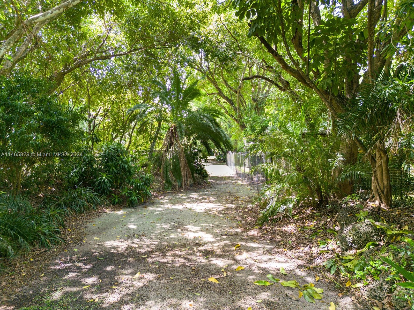 6000 Southwest 118th Avenue Miami, FL 33183 - Photo 40 of 49 a view of a forest with trees