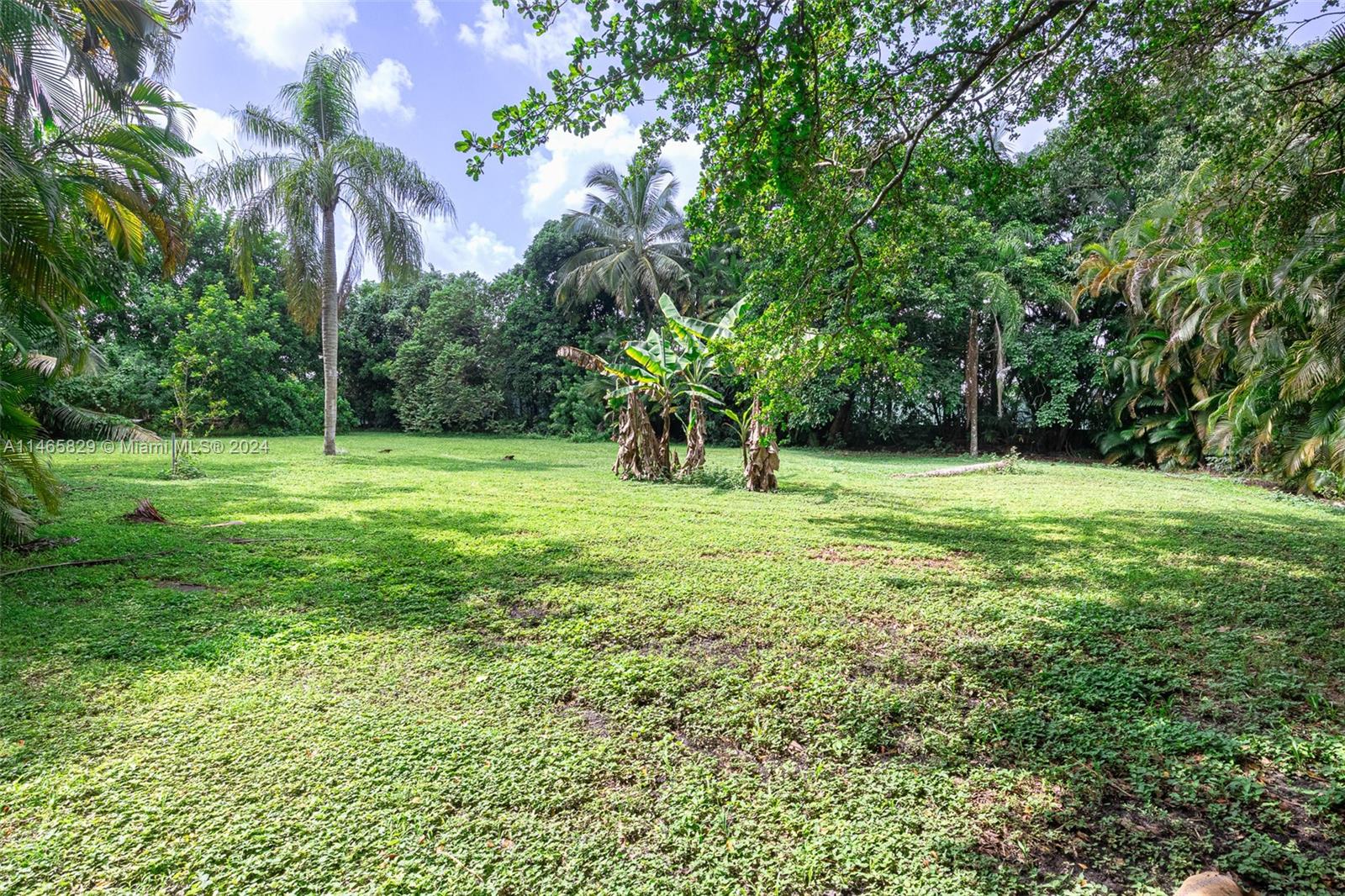 6000 Southwest 118th Avenue Miami, FL 33183 - Photo 45 of 49 a view of a grassy field with trees in the background