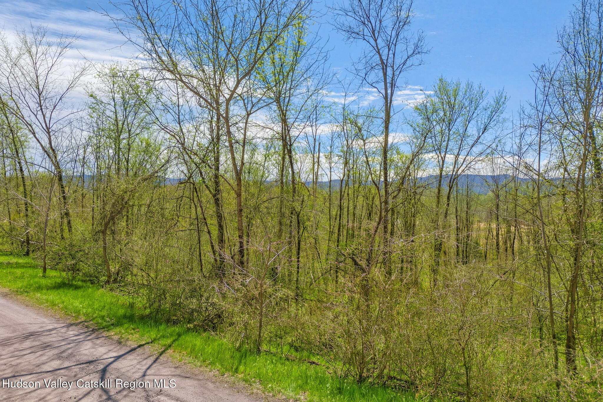 Tbd Tbd Aveo Road Accord, NY 12404 - Photo 4 of 14 ext-27