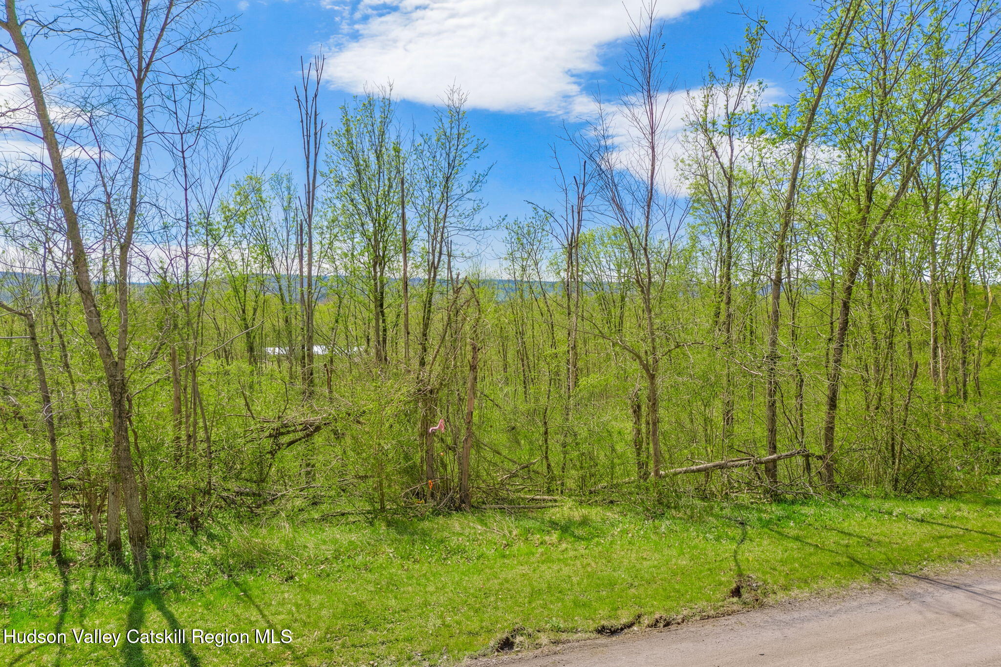 Tbd Tbd Aveo Road Accord, NY 12404 - Photo 5 of 14 ext-22