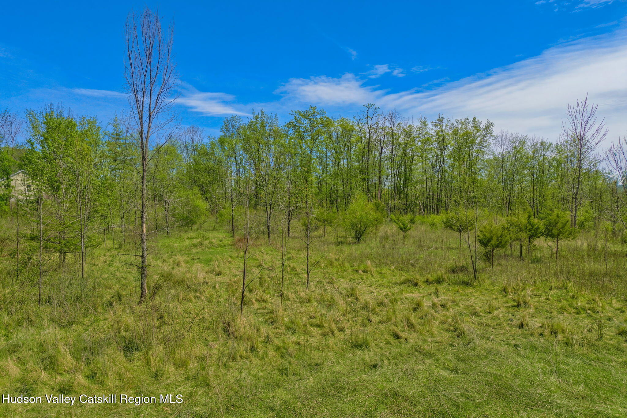 Tbd Tbd Aveo Road Accord, NY 12404 - Photo 6 of 14 ext-20