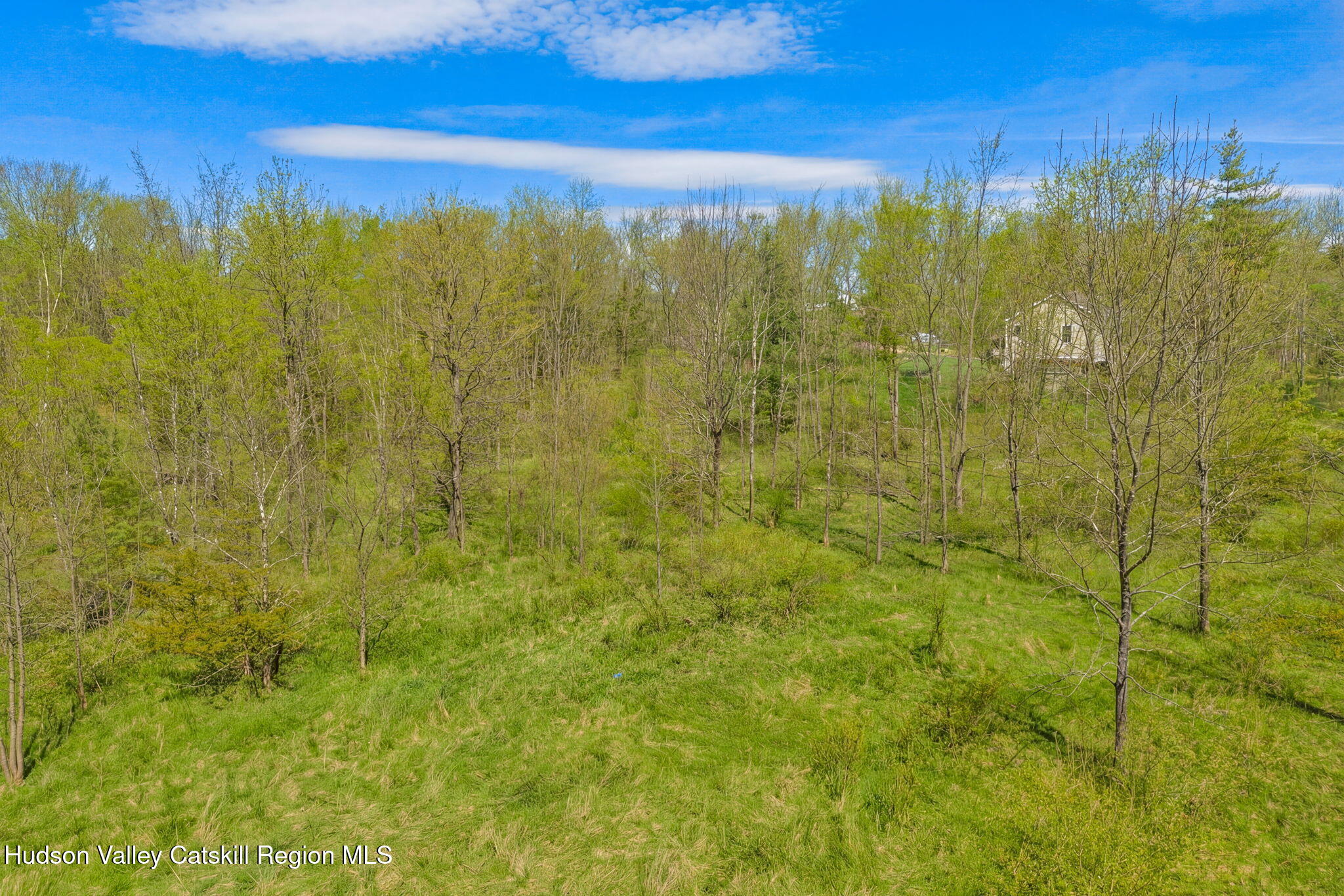 Tbd Tbd Aveo Road Accord, NY 12404 - Photo 7 of 14 ext-16