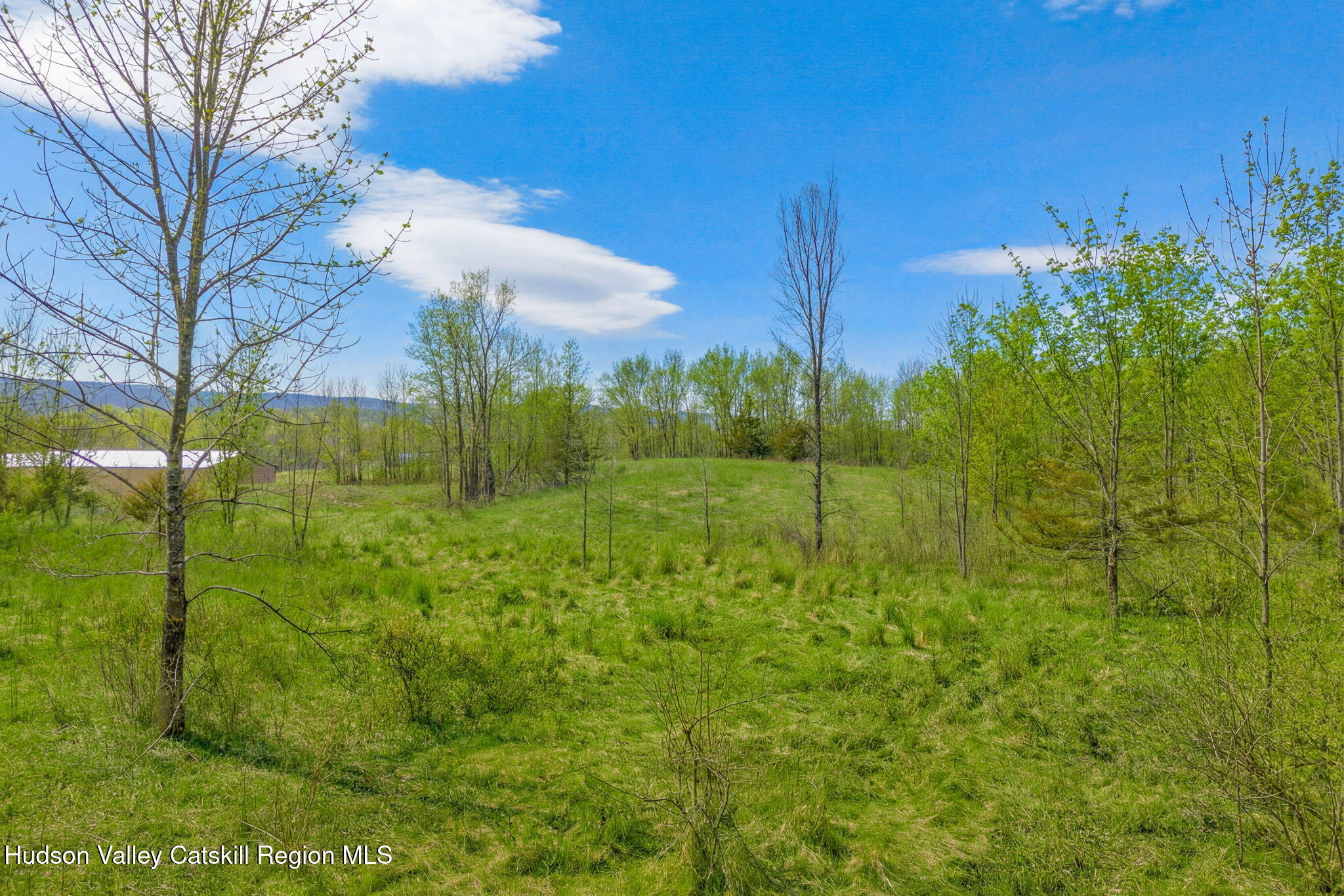 Tbd Tbd Aveo Road Accord, NY 12404 - Photo 8 of 14 ext-18