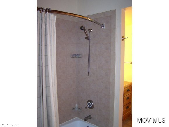 3067 Munday Road Elizabeth, WV 26143 - Photo 12 of 23 Shower