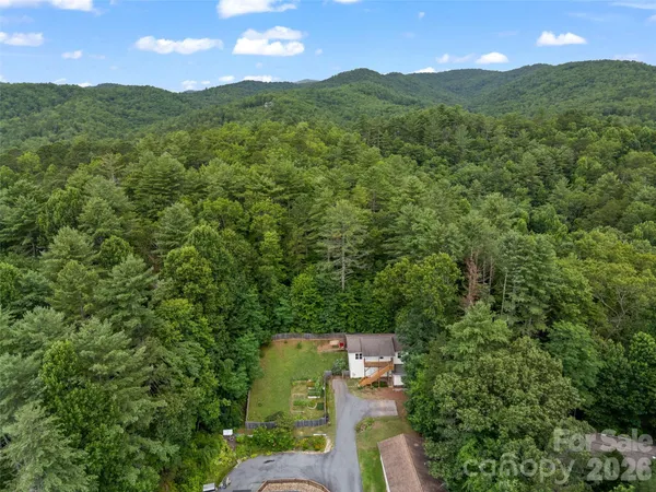 a view of a lush green forest with a houses