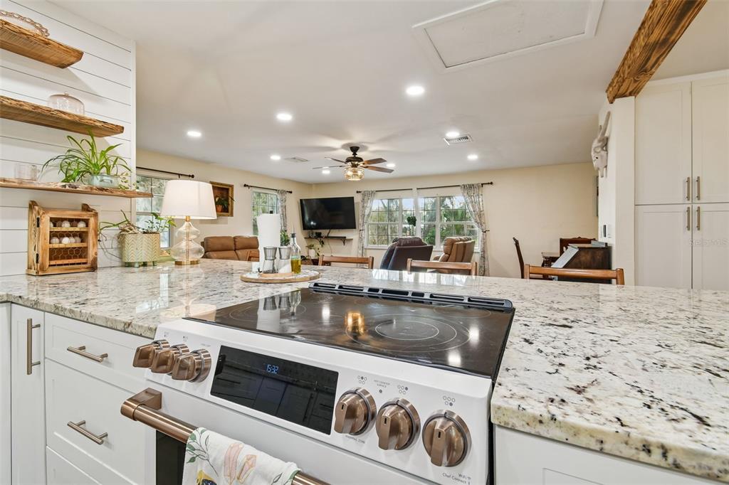 3009 Jim Johnson Road Plant City, FL 33566 - Photo 19 of 84 a kitchen with stainless steel appliances granite countertop a sink a stove and a wooden cabinets