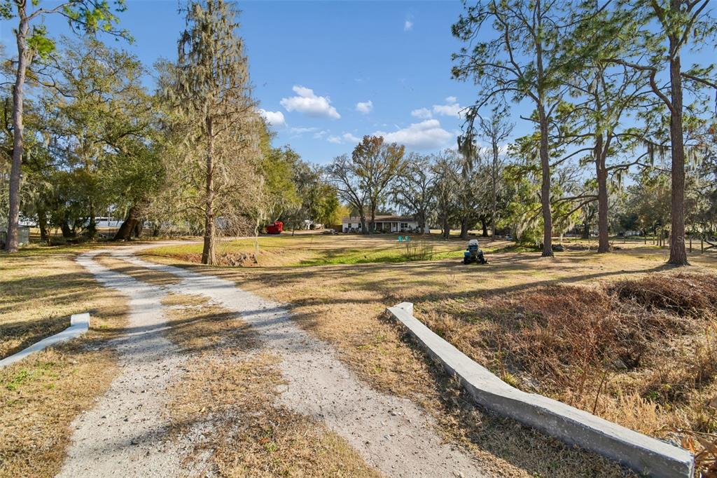 3009 Jim Johnson Road Plant City, FL 33566 - Photo 2 of 84 a view of a yard with trees