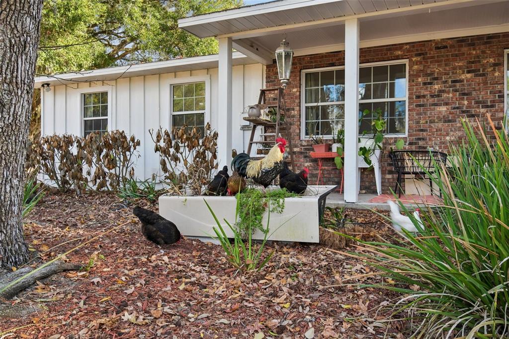 3009 Jim Johnson Road Plant City, FL 33566 - Photo 5 of 84