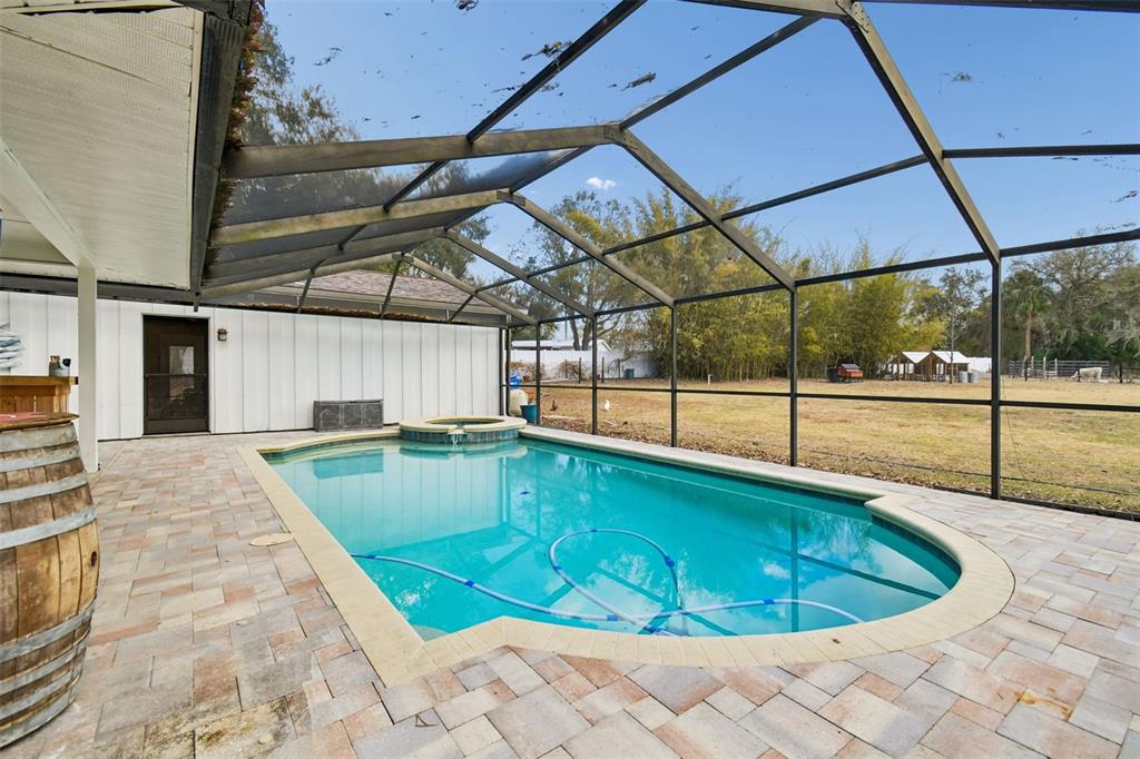 3009 Jim Johnson Road Plant City, FL 33566 - Photo 51 of 84 a view of a backyard of a house