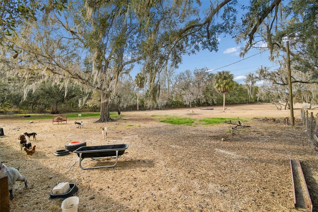 3009 Jim Johnson Road Plant City, FL 33566 - Photo 59 of 84