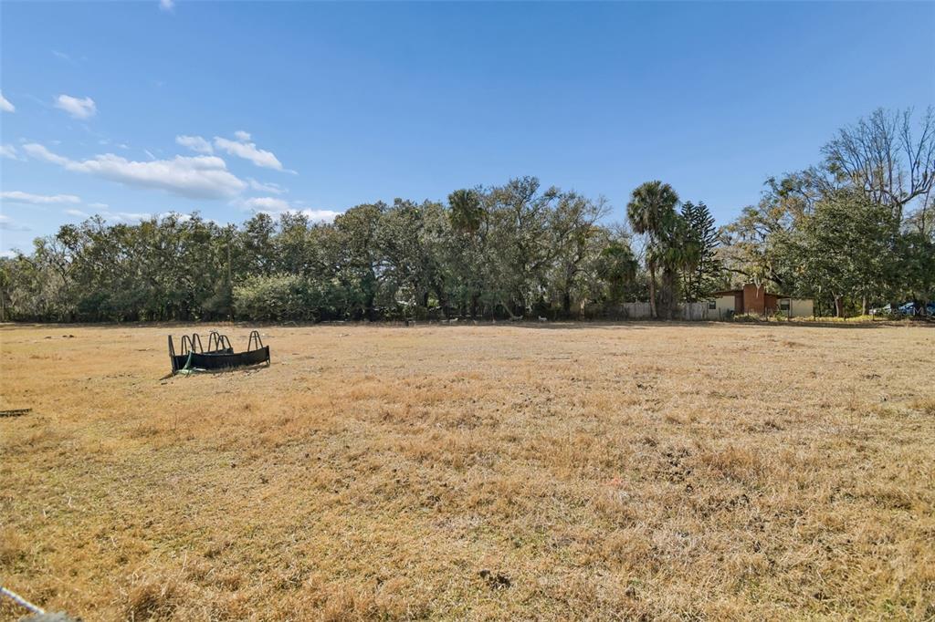 3009 Jim Johnson Road Plant City, FL 33566 - Photo 60 of 84 a backyard of a house with lots of green space