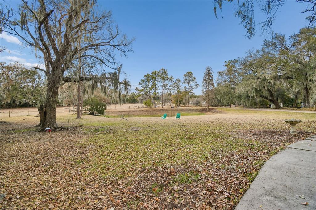 3009 Jim Johnson Road Plant City, FL 33566 - Photo 61 of 84 a view of dirt yard with a large tree