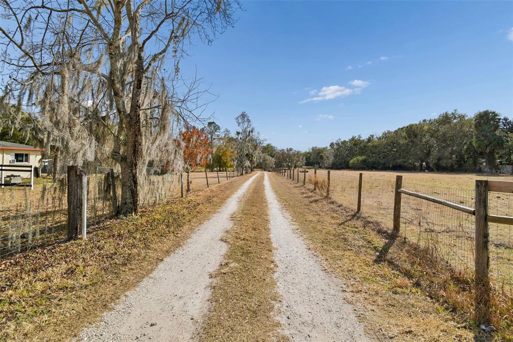 3009 Jim Johnson Road Plant City, FL 33566 - Photo 65 of 84 a view of a pathway with a yard