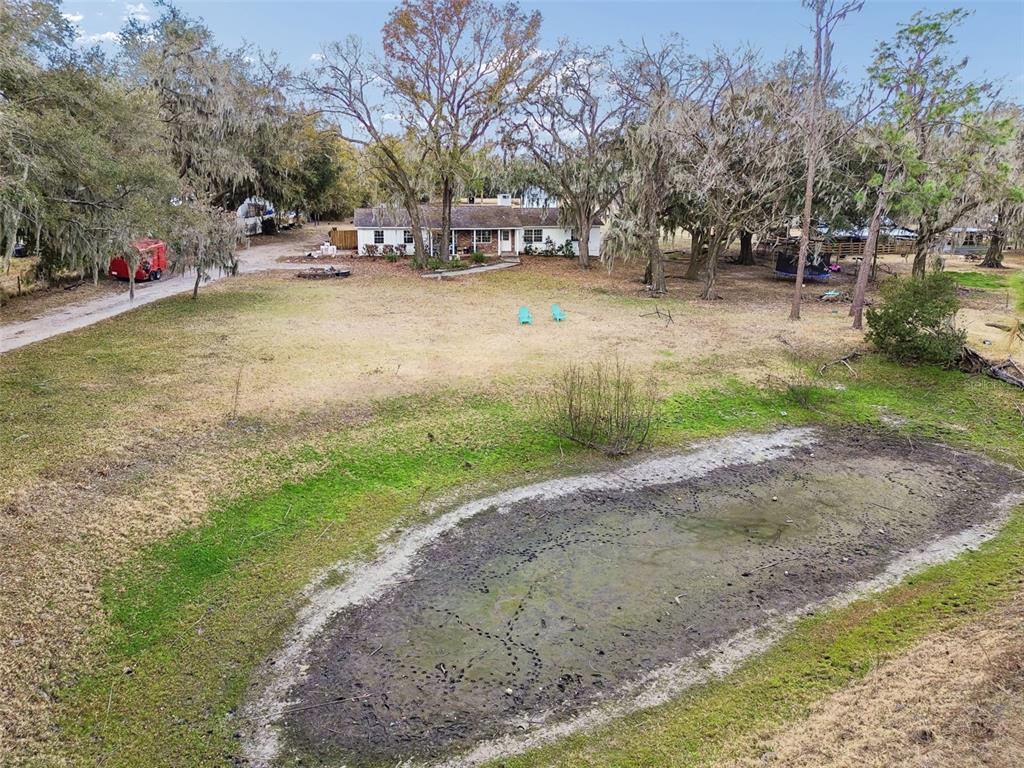 3009 Jim Johnson Road Plant City, FL 33566 - Photo 68 of 84 a view of a yard with a tree
