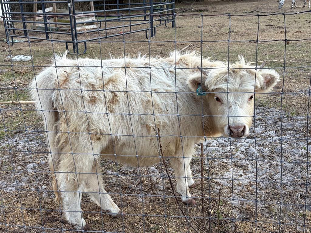 3009 Jim Johnson Road Plant City, FL 33566 - Photo 73 of 84