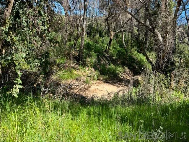 $636,000 | 0 Bunny Drive, Jamul, CA 91935