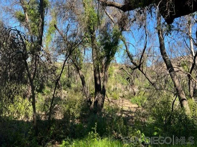 $636,000 | 0 Bunny Drive, Jamul, CA 91935