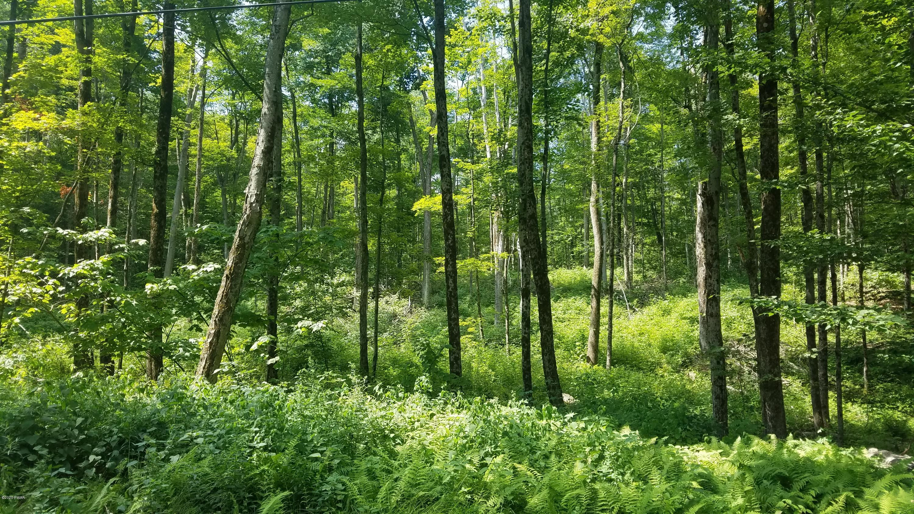 48 Wild Acres Road Lake Ariel, PA 18436 - Photo 8 of 9