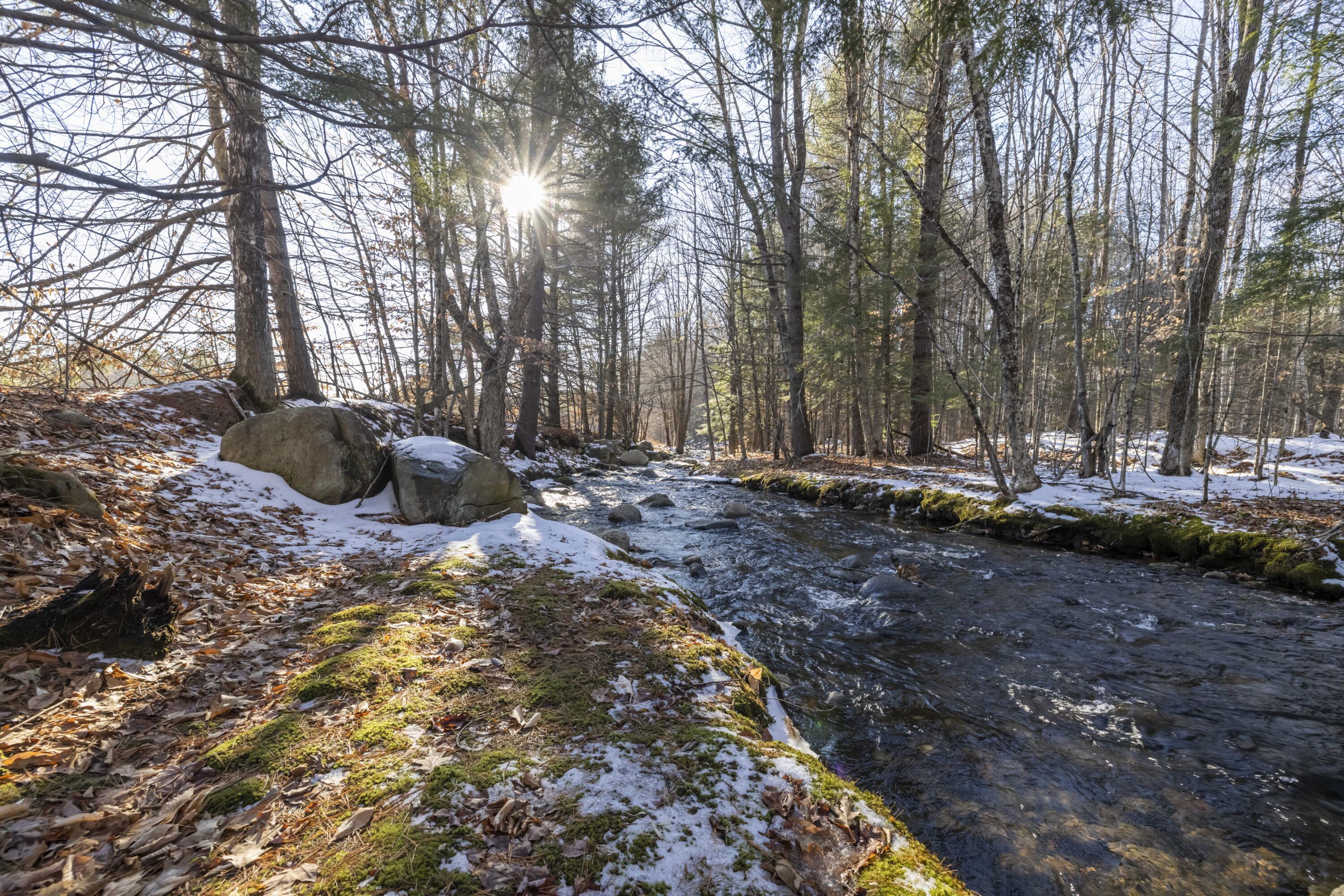 105 Andrews Road Bryant Pond, ME 04219 - Photo 1 of 43 3G0A3785