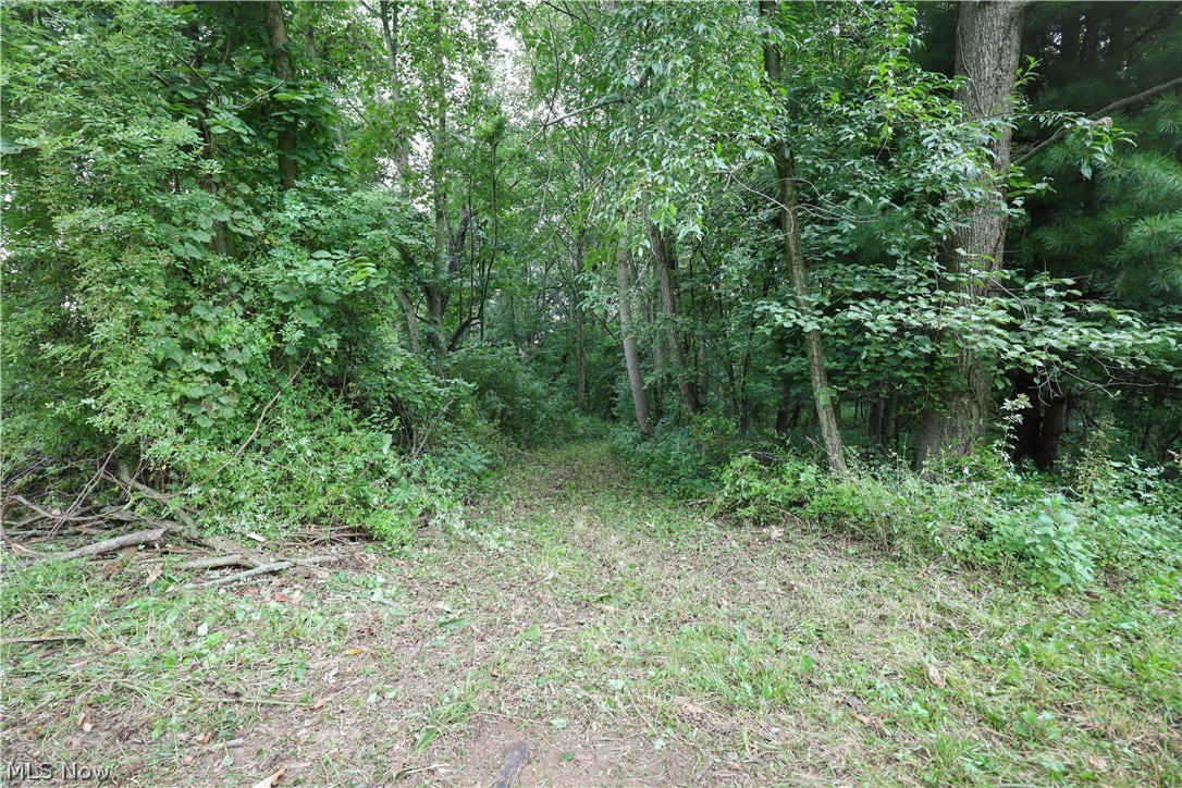 North Butler Liberty Road Butler, OH 44822 - Photo 10 of 44