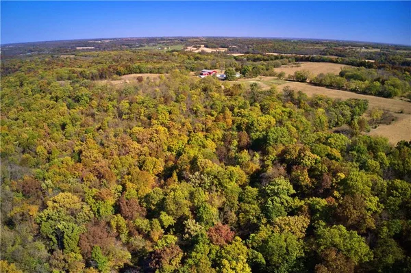 $1,090,000 | 19904 Rattlesnake Road, Richmond, MO 64085