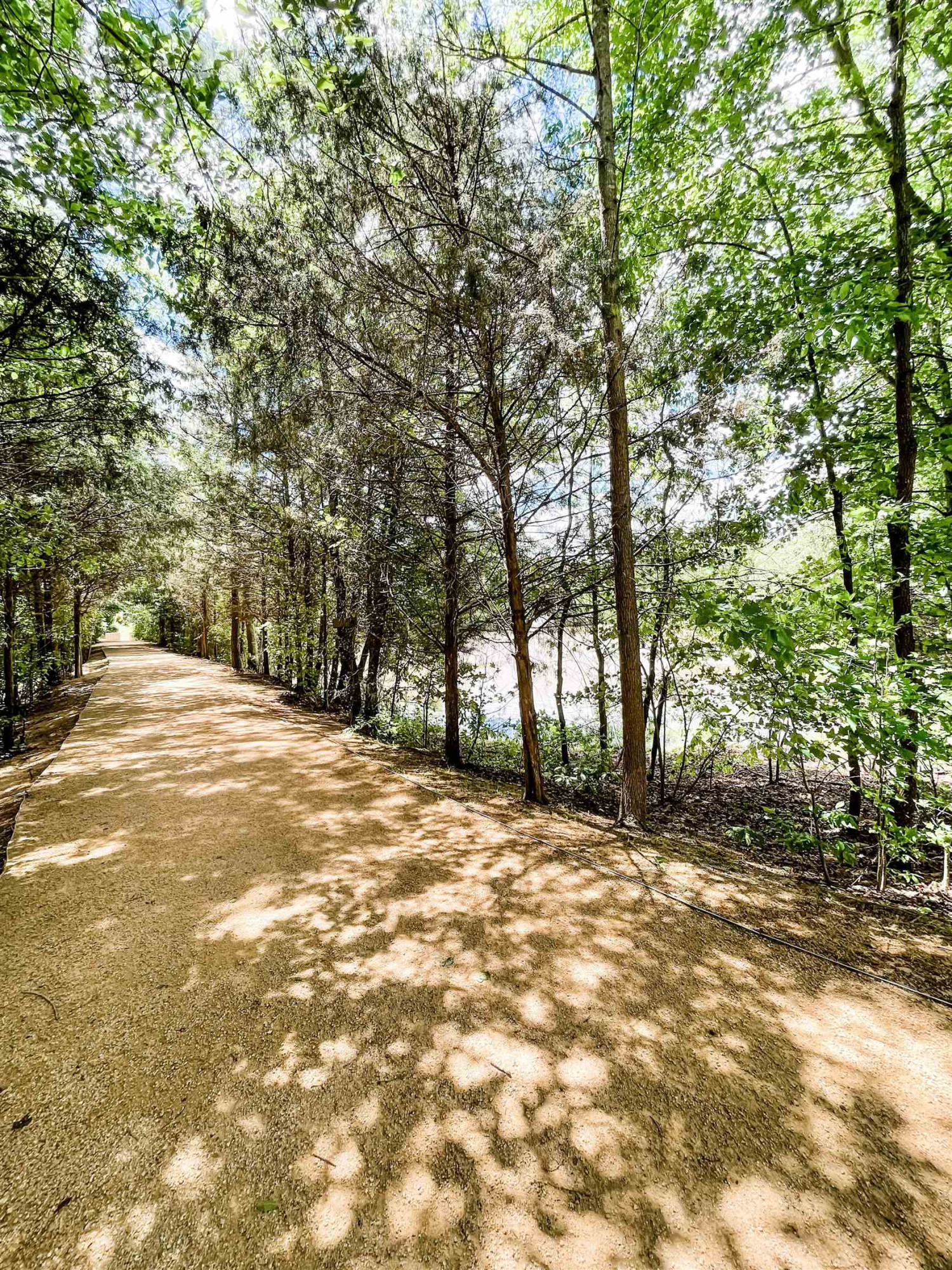 2817 Ulster Alley Raleigh, NC 27606 - Photo 22 of 23 Photo 22