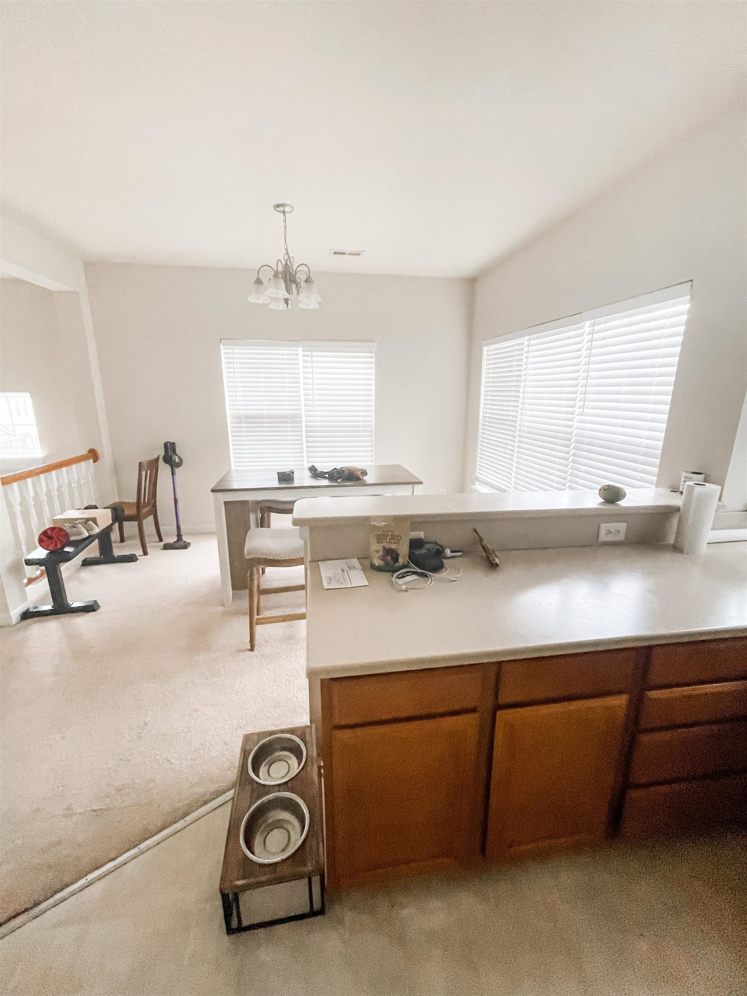 2817 Ulster Alley Raleigh, NC 27606 - Photo 9 of 23 Photo 9