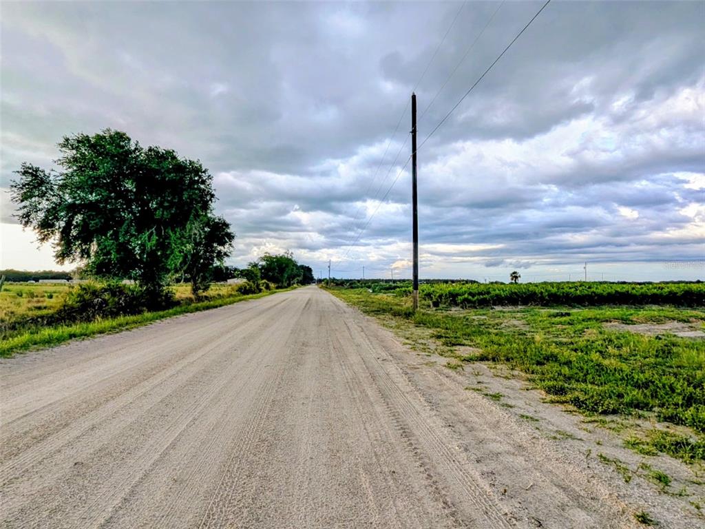 Tom Bryan Road Zolfo Springs, FL 33890 - Photo 4 of 10
