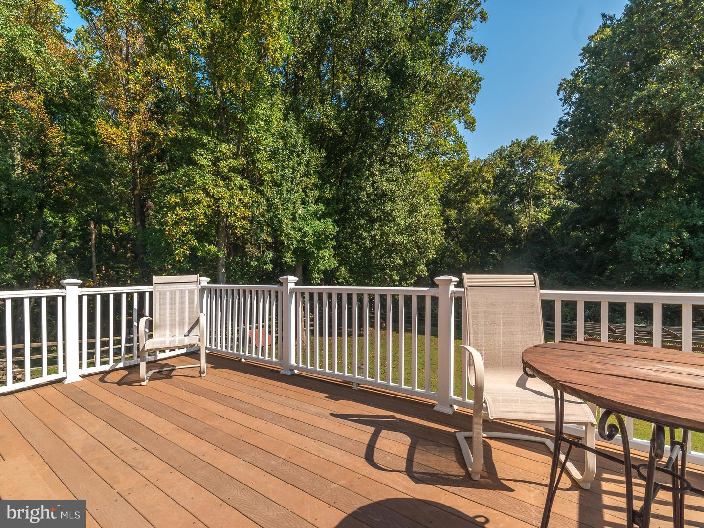 5346 Turkey Point Road North East, MD 21901 - Photo 13 of 30 Exterior (Rear)
